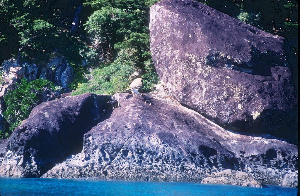 Luncheon Bay in the Whitsundays. Photo Contributed Luncheon Bay in the Whitsundays. Photo Contributed
